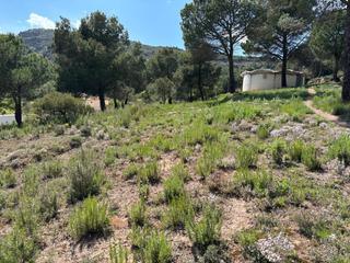 Terreny residencial a Sant Llorenç Savall. Terreny privilegiat de 1139m2 a sant llorenç savall