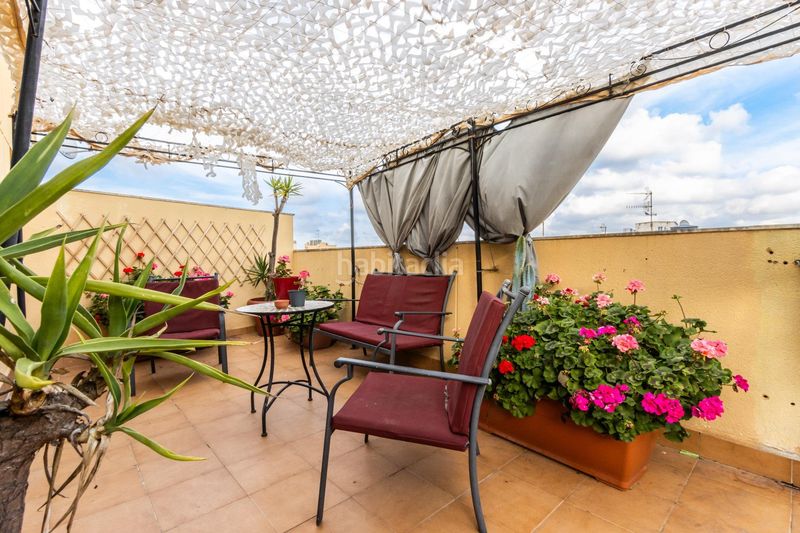 Foto f6a14f6c-9100-45a5-816f-94fb1d5829fa. Pis a Zona Hospital Amposta