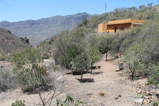 Masia en Calle timagada  2. Casa en tejeda  con 10.100 metros de terreno rstico