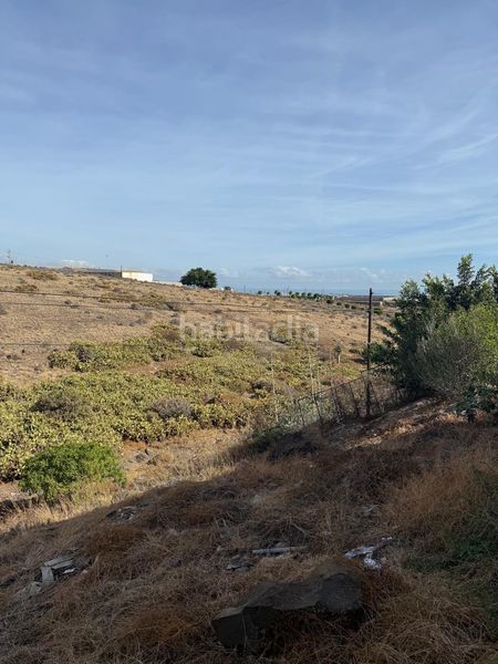 Foto 8309e144-ce00-411a-addf-e39a46e0ef20. Terreny residencial a Valle de los Nueve - El Ejido - Medianías Telde