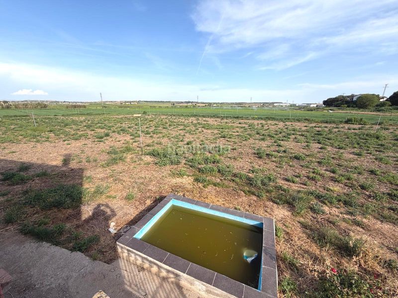 Foto 8d972301-c9a5-4817-bafe-ed0d9fb50a99. Finca rústica a Binéfar