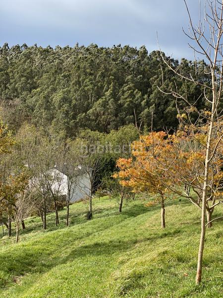 Foto 3d7c3ef5-ec93-4842-b01e-5cf0b511981f. Édifice dans Valdés