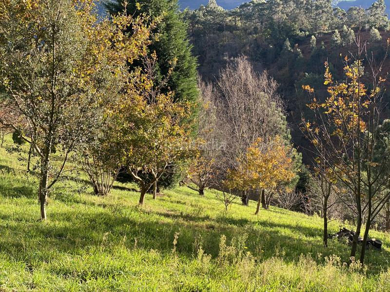 Foto 4e977aeb-81d9-4161-927c-f27485c0b414. Édifice dans Valdés