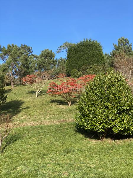 Foto 77401e72-388d-49bf-9d6b-aca0aa388d54. Édifice dans Valdés