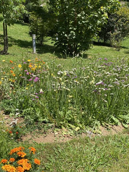 Foto bb3c5ed0-a4f0-438e-bfd5-a8679384d26d. Édifice dans Valdés