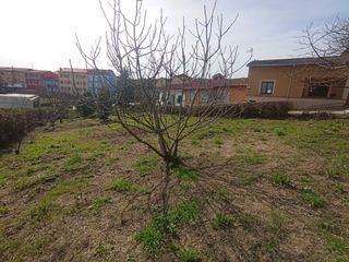 Maison jumel�e  Avil�s - camino de cantos. Chalet adosado de 4 habitaciones con finca en avil�s