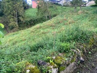 Terreno residencial en Parres. Venta de finca edificable en el concejo de parres-arriondas.