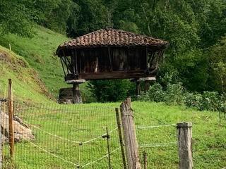 Casa a Piloña. Venta de hórreo con finca en el concejo de piloña.