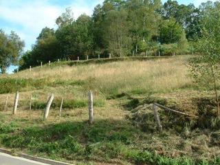 Terreno residencial en Parres. Venta de finca edificable en parres-arriondas