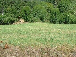 Terreno residencial en Parres. Venta de finca en el concejo de parres
