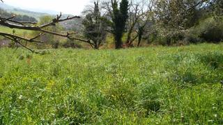 Terreno residencial en Parres. Venta de finca en parres-arriondas.