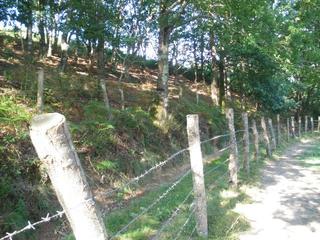 Terreno residencial en Parres. Venta de finca en el concejo de parres