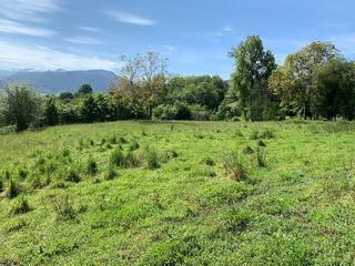 Terreno residencial en Parres. Venta de finca edificable en el concejo de parres