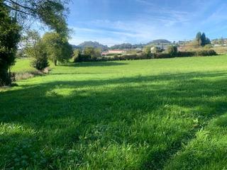 Residential Plot in Carbayin-Lieres-Valdesoto. Venta de finca edificable en el concejo de siero.