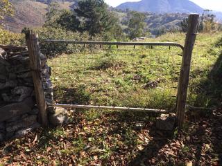 Terreno residencial en Parres. Venta de finca rústica en  arriondas-parres.