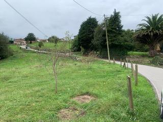 Terreno residencial en Parres. Venta de finca en arriondas-parres.