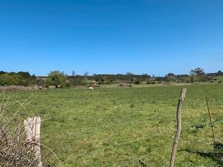Terreny residencial a Ribadesella. Venta de finca rústica en ribadesella.