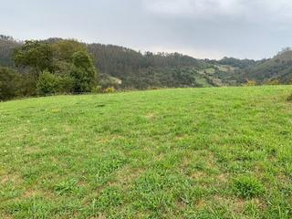 Terreny residencial a Cangas de Onís. Venta de finca edificable en cangas de onís.