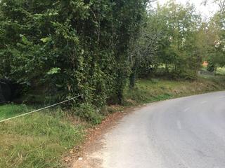 Terreno residencial en Parres. Venta de finca en arriondas-parres