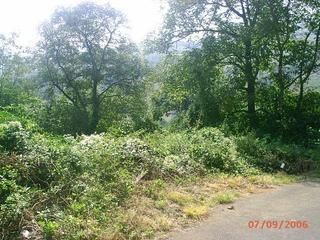 Terreno residencial en Parres. Venta de finca edificable en el concejo de parres-arriondas.