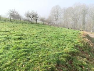 Terreno residencial en Parres. Venta de finca de interés agrario.