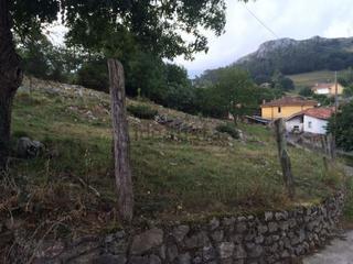 Terreno residencial en Parres. Venta de finca edificable en el concejo de parres-arriondas