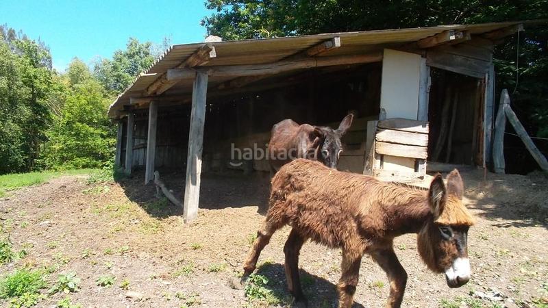 Foto a91ec7ae-8a56-42d7-90b1-42d0441129d5. Casa a Parres