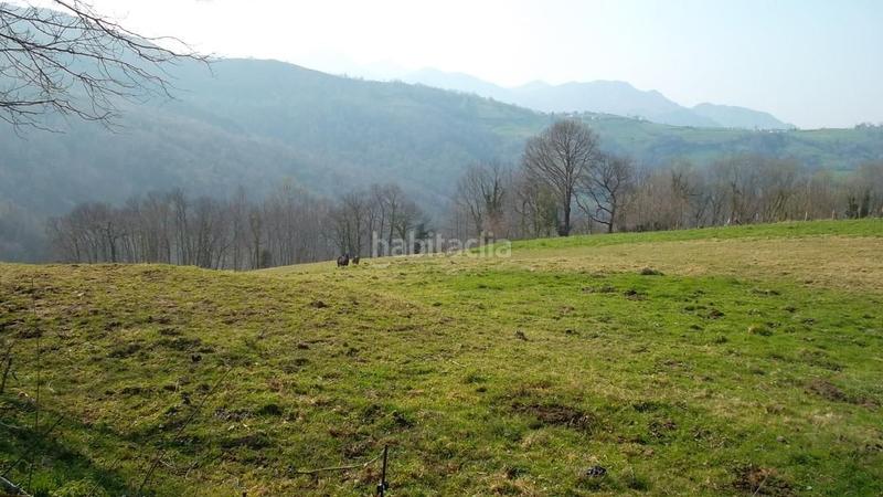 Foto 7a5d1dd0-e68a-4442-91c3-64b2b396eac8. Casa venta de cabaña en arriondas- en Parres