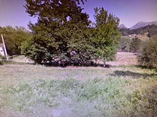 Terreny residencial a Piloña. Venta de finca edificable en el concejo de piloña.