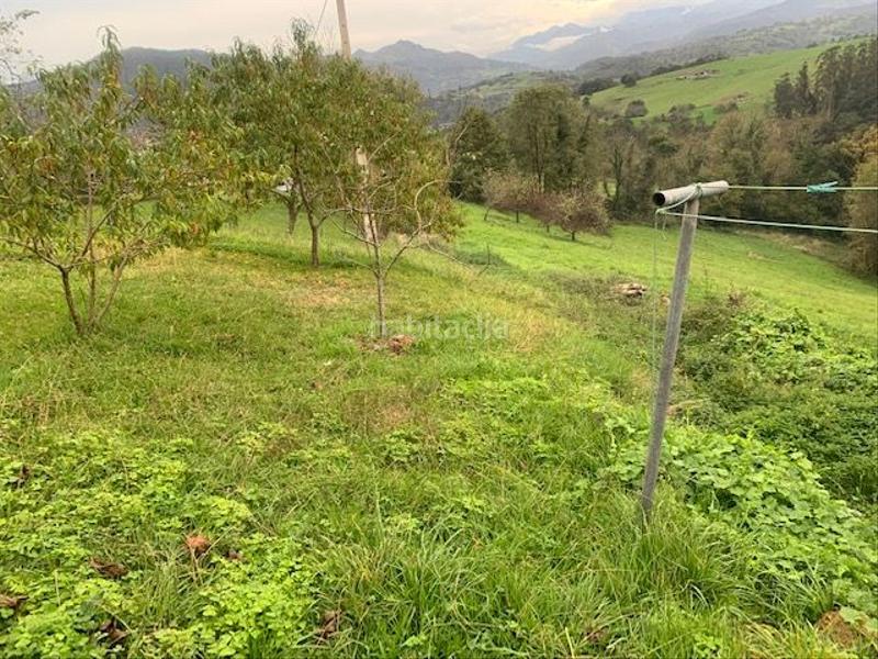 Foto 4786b18f-94ae-40e9-afed-15f2fd3c1cfc. Casa a Parres