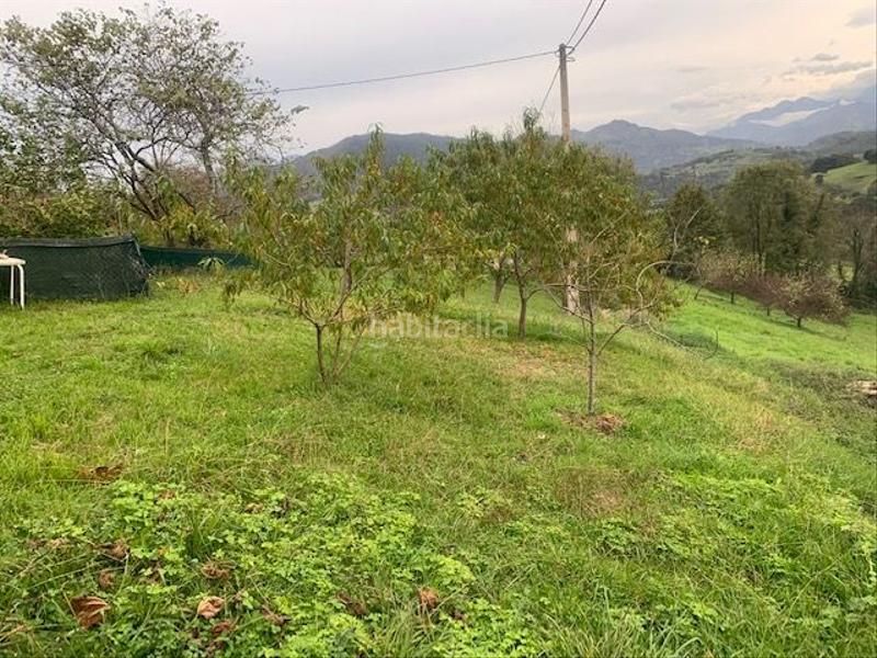 Foto fd8b0108-53e8-49e8-be57-be5919bc1f5c. Casa a Parres