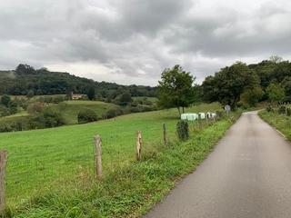 Terreny residencial a Piloña. Venta de finca en el concej de piloña.