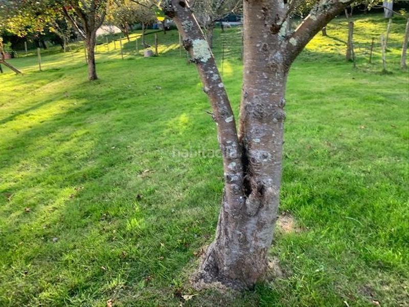 Foto fbe7c0f7-19e8-4c91-8a86-7916698d907a. Terreno residenziale in Carbayin-Lieres-Valdesoto Siero