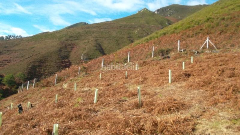 Foto 2e8394b8-3217-4797-a701-3843453a1b70. Casa venta de cabaña y finca en arrindas- en Parres