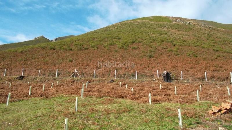 Foto 7b0be134-f121-4109-85b4-ebcd943b5ff9. Casa venta de cabaña y finca en arrindas- en Parres