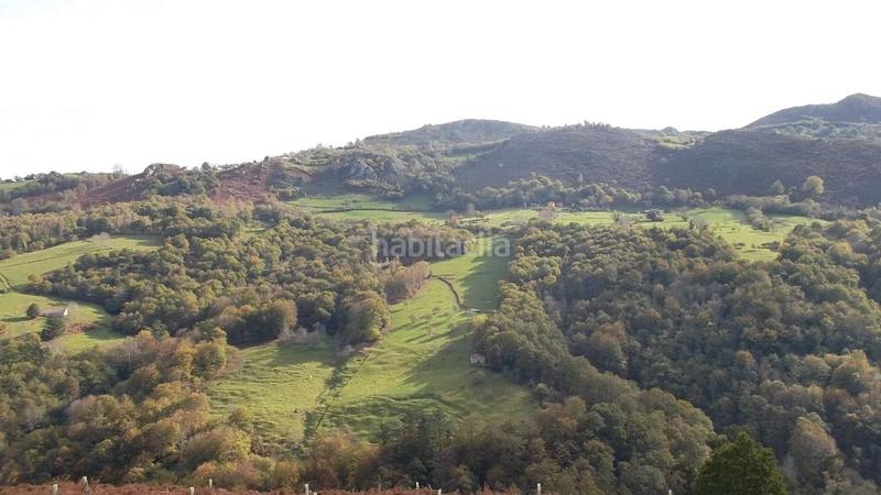 Foto 8472bac9-c696-4465-a4ff-a2bfe27a0503. Casa venta de cabaña y finca en arrindas- en Parres