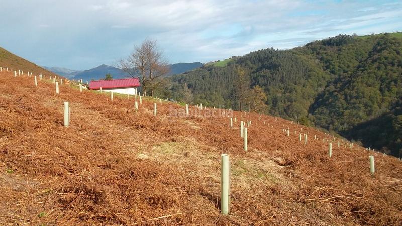 Foto a43f97e8-011a-456d-90d0-b5e4489f28a1. Casa venta de cabaña y finca en arrindas- en Parres