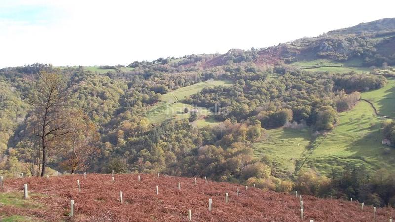 Foto a8df4aa3-a24c-474f-a8ff-3da0e30213fd. Casa venta de cabaña y finca en arrindas- en Parres