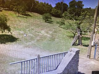Terreny residencial a Cangas de Onís. Venta de finca edificable en el concejo de cangas de onís.