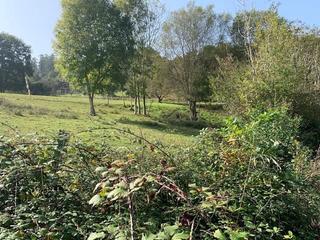 Terreno residencial en Parres. Venta de finca en el concejo de parres-arriondas.