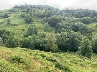 Terreny residencial a Piloña. Venta de finca edificable en el concejo de piloña.