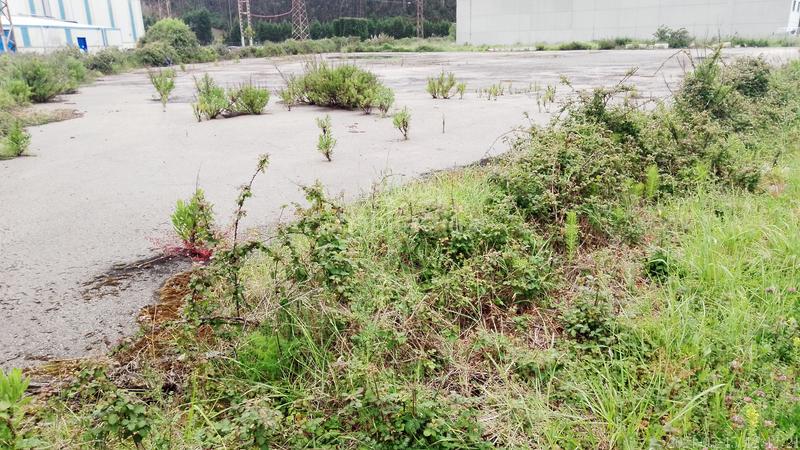 Foto 6701434b-1a9e-4ff7-9e6e-9e2d46f29de4. Terrain industriel dans campo iglesia 5 dans Verdicio-Bañugues-Cabo Peña Gozón