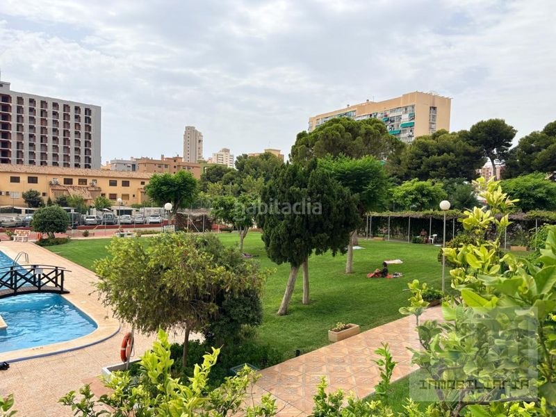 Foto 3314f80b-3b07-47bd-8f06-b0e6026bb58f. Apartament amb aparcament a Juzgados - Plaza de Toros Benidorm