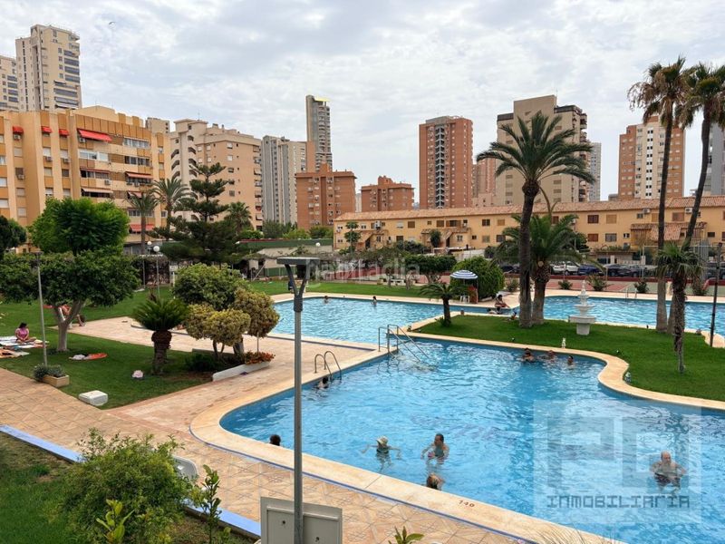 Foto 92b43445-2656-467d-9a2c-75e3fcbe37f6. Apartament amb aparcament a Juzgados - Plaza de Toros Benidorm