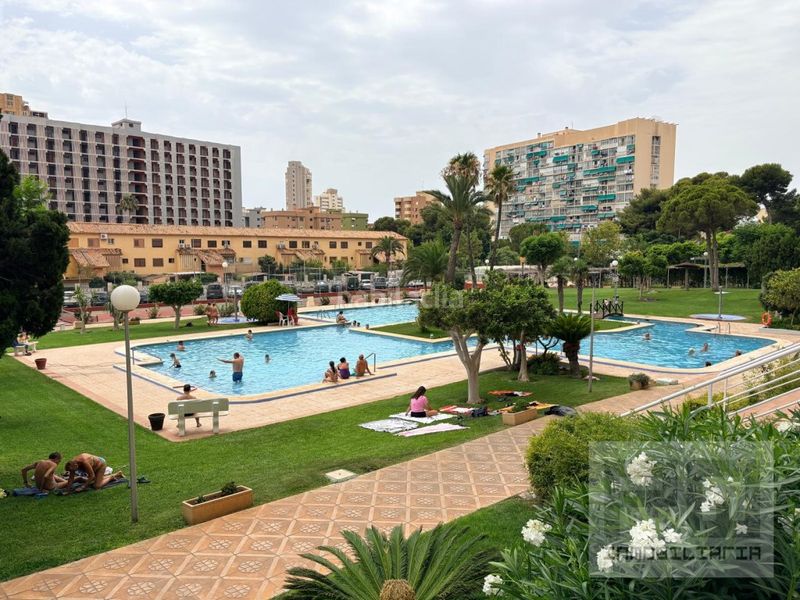 Foto f1c71925-2e0a-4a30-8c64-85d5a0346e6f. Apartament amb aparcament a Juzgados - Plaza de Toros Benidorm