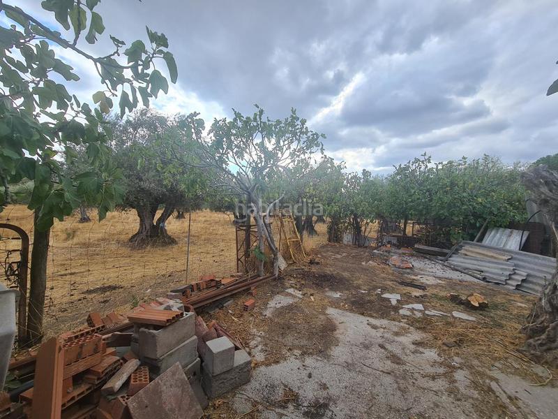 Foto 2a5c0e3f-5ab1-49eb-9ae1-03b20bedf8d1. Bâtiment à usage industriel dans Adrada (La)