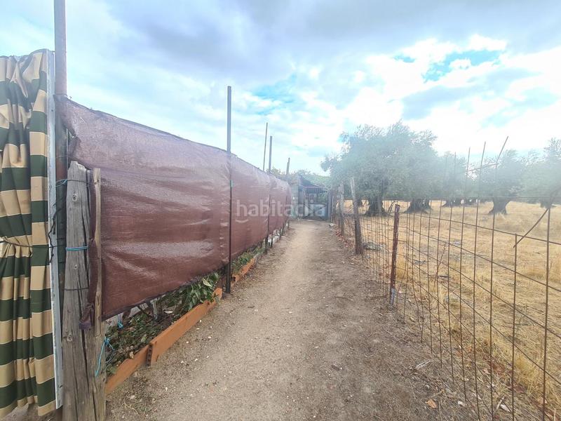 Foto 531ecbf4-8c59-402c-84ed-9dc452dc7e7a. Bâtiment à usage industriel dans Adrada (La)