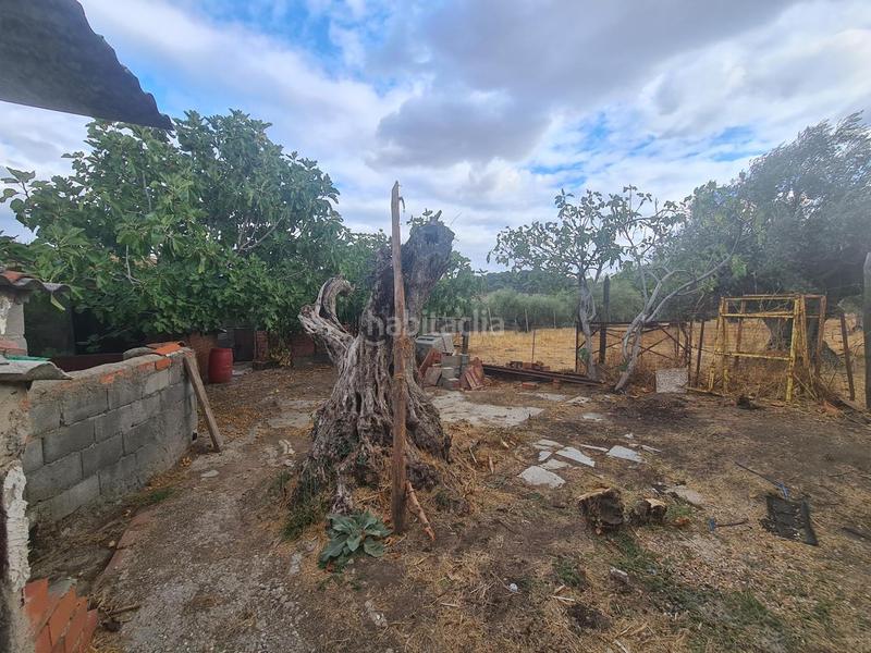 Foto 8d3f5b94-87dc-414c-a2f1-95f3e4574593. Bâtiment à usage industriel dans Adrada (La)