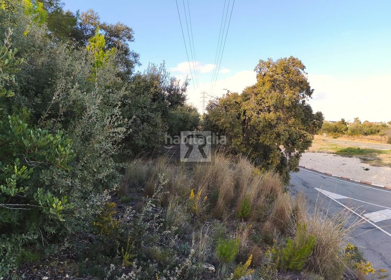 Foto 0bc8352b-486e-4239-85b2-4df4014b3521. Finca rústica a carrer provadors 2 a Vallmoll