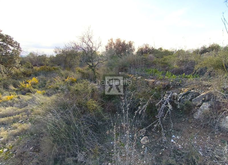 Foto 5a9cc32b-fe32-4219-97d2-1211b2f3c73f. Finca rústica a carrer provadors 2 a Vallmoll